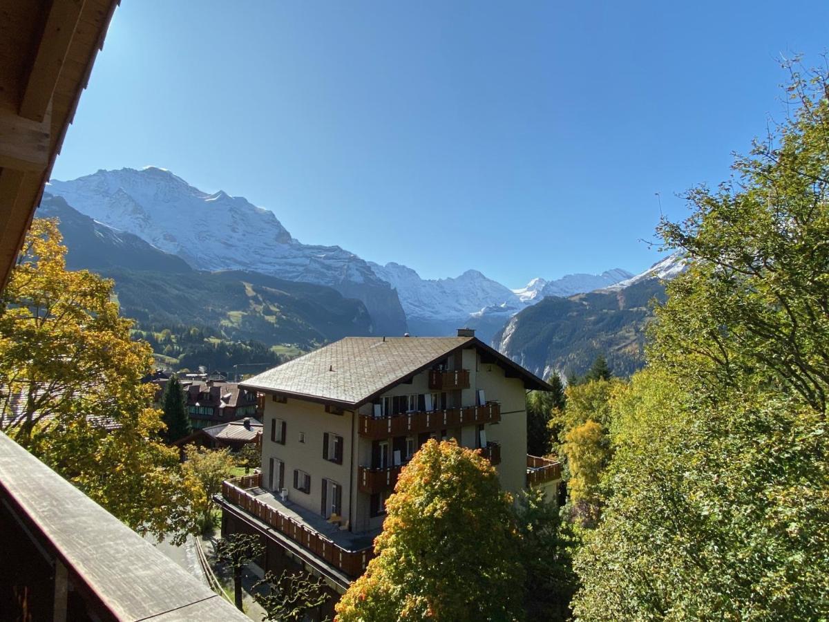 Chalet Bergfrieden Penthouse ون قن المظهر الخارجي الصورة